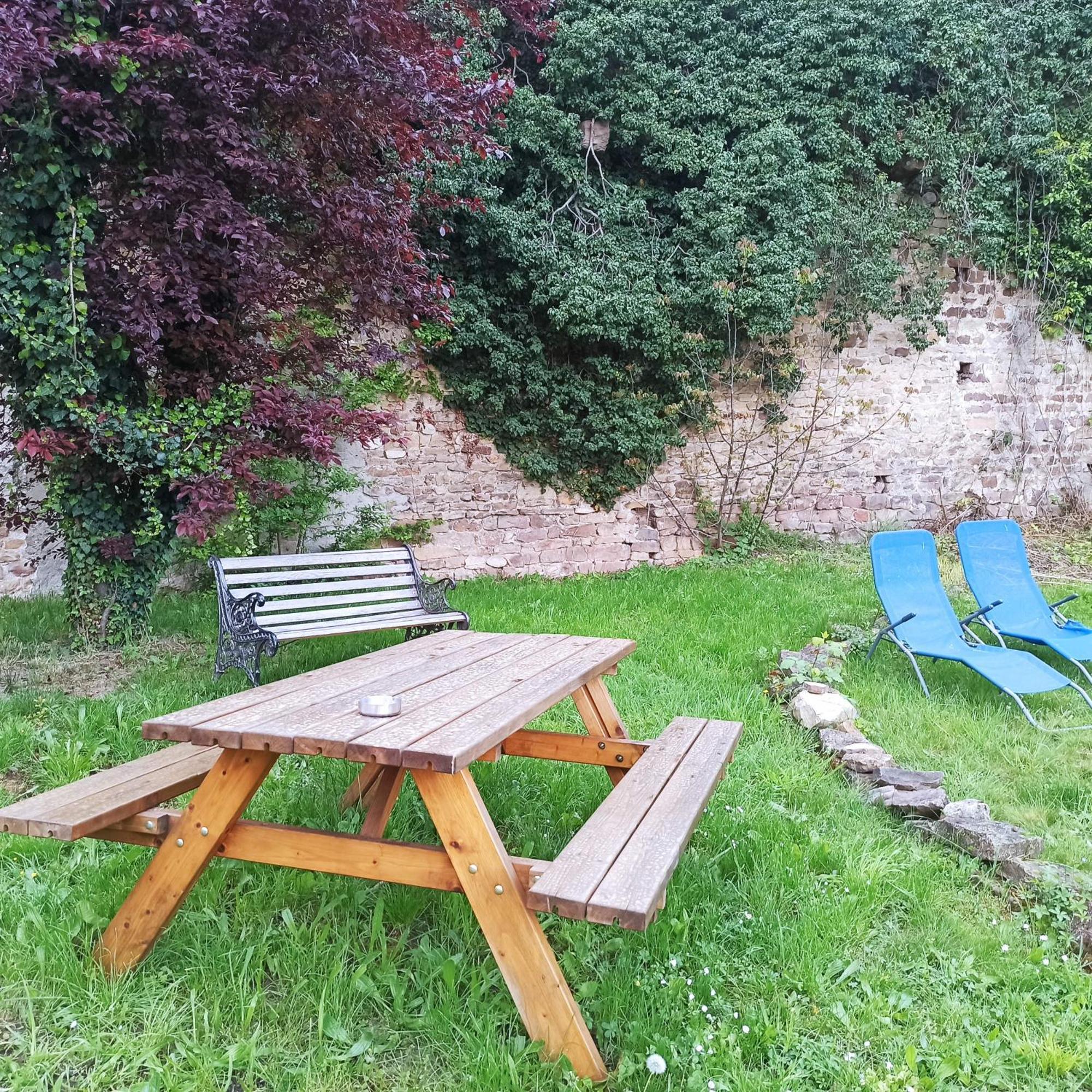 Joli gîte F2 indépendant avec jardin privé Rouffach Exterior foto