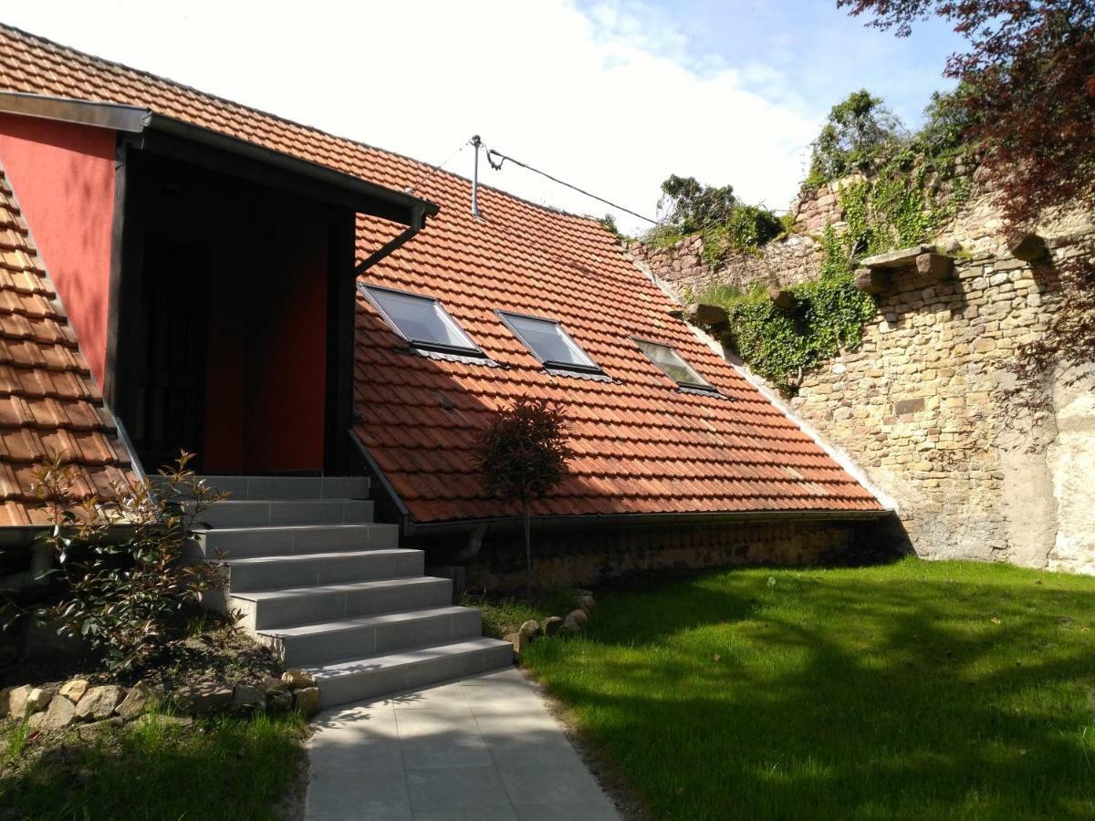 Joli gîte F2 indépendant avec jardin privé Rouffach Exterior foto