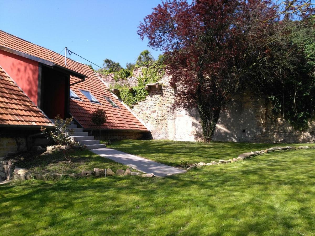Joli gîte F2 indépendant avec jardin privé Rouffach Exterior foto